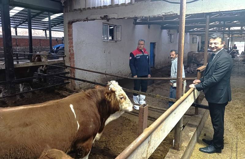 Samsun Tarım ve Orman Müdürü Yılmaz'dan besicilere ziyaret