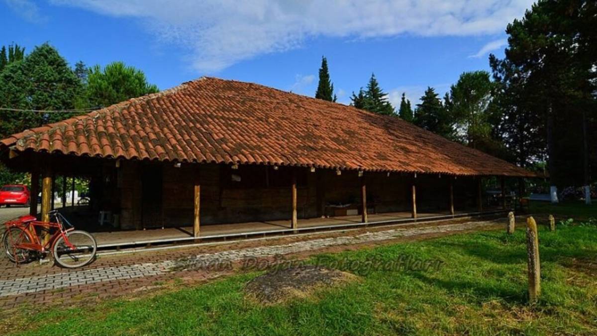 Samsun'da tek bir çivi kullanılmadan yapılan asırlık Göğceli Cami kaç yılında yapıldı?