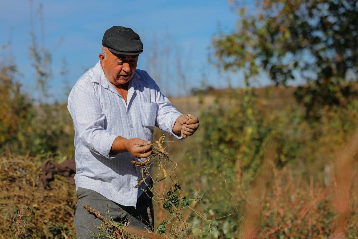 Samsun'da üreticinin emeği ihtiyaç sahipleri ile buluştu