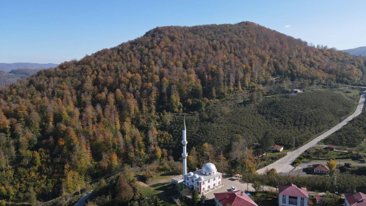 Samsun sonbahar renklerine büründü