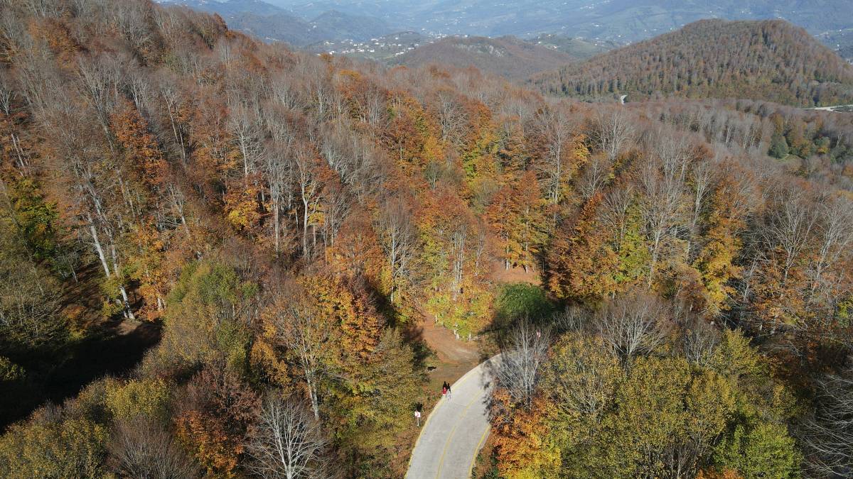 Samsun sonbahar renklerine büründü