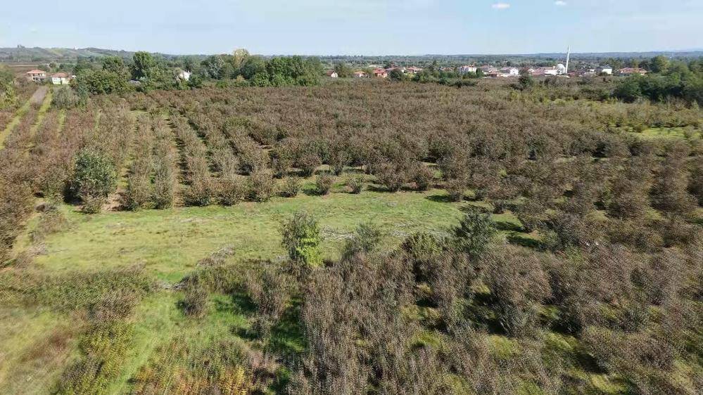 Samsun'da tarım arazileri için kritik toplantı