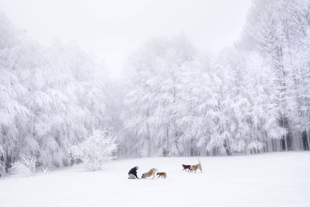 Yaşamın Enerjisi Ulusal Fotoğraf Yarışması'nda kazananlar belli oldu