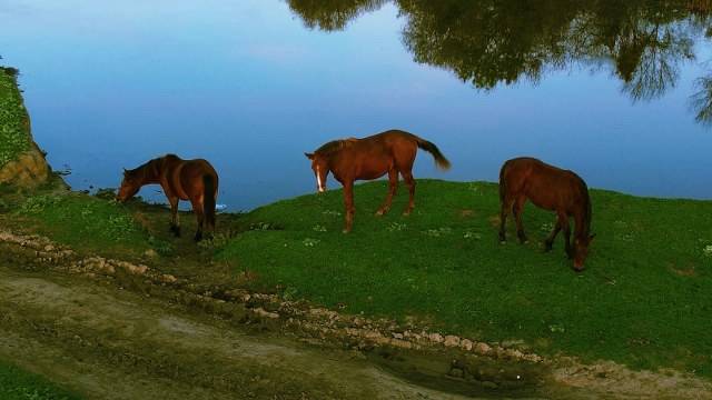 Samsun’da suları çekilen göller sonbahar yağışlarıyla canlandı
