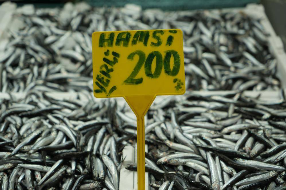 Samsun'da hamsinin kilosu yeniden yükseldi