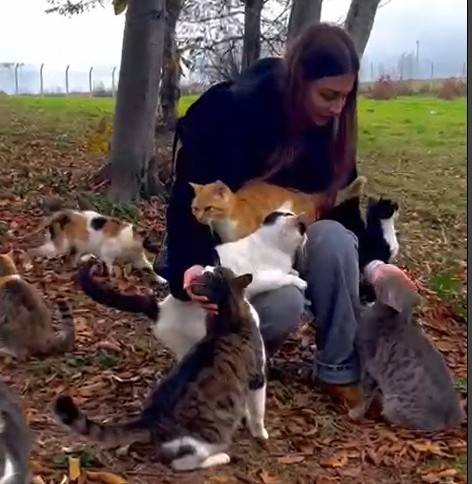 OMÜ'den sokak hayvanlarına mama desteği