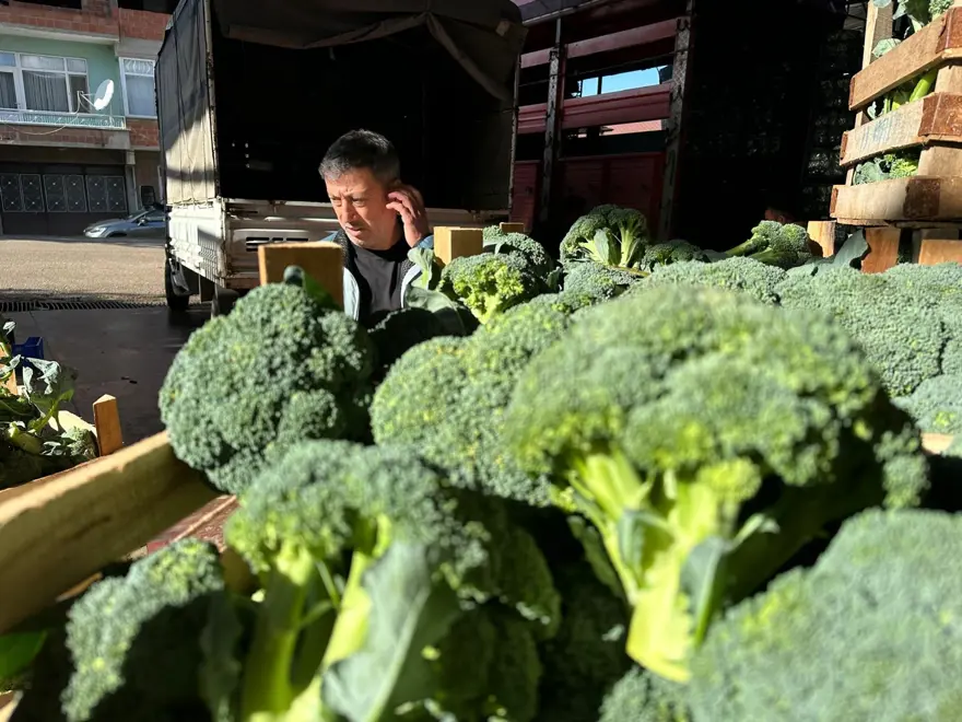 Brokolinin fiyatı 7 kat birden artıyor