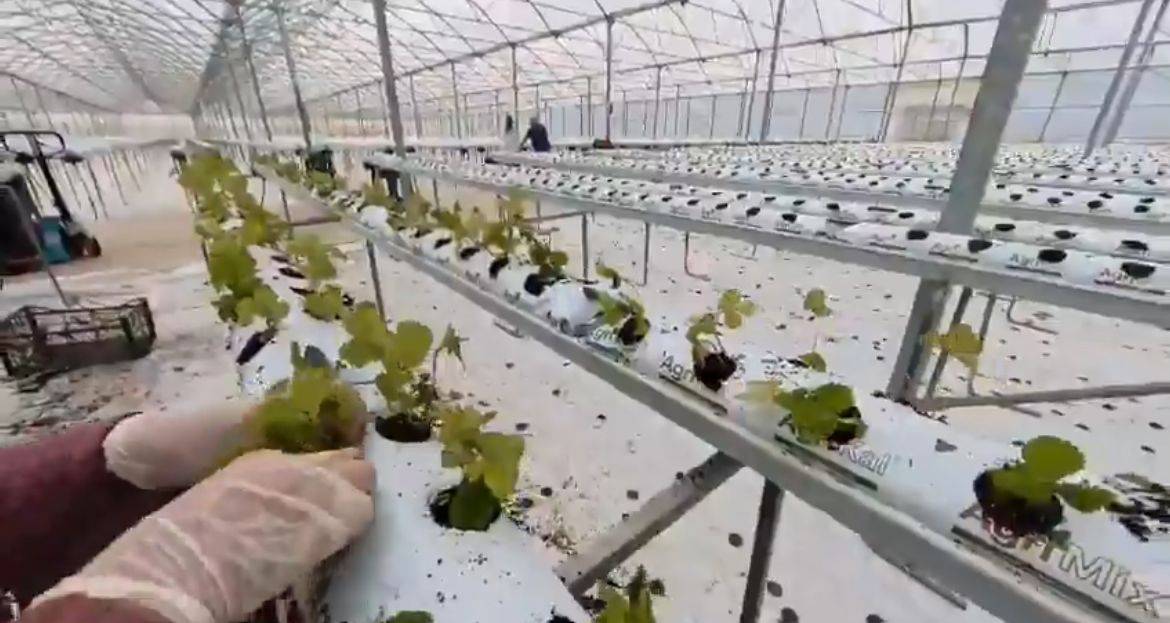 Bafra Sera OSB’de bin 500 kişilik istihdam hedefi