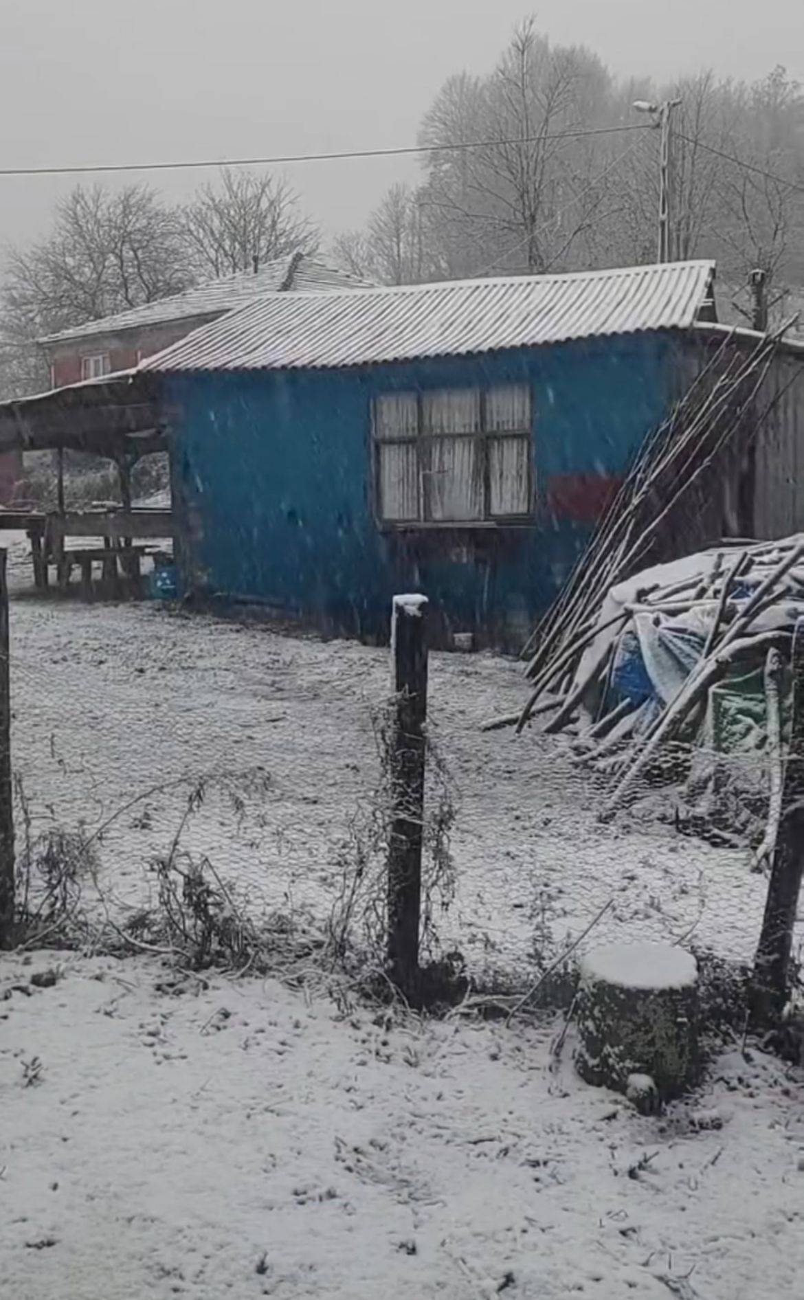 Samsun Kocadağ beyaza büründü!