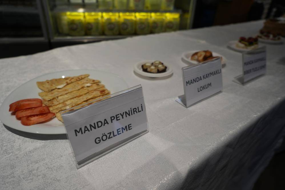 Samsun Kızılırmak Deltası'nda manda yetiştiriciliği markalaşıyor