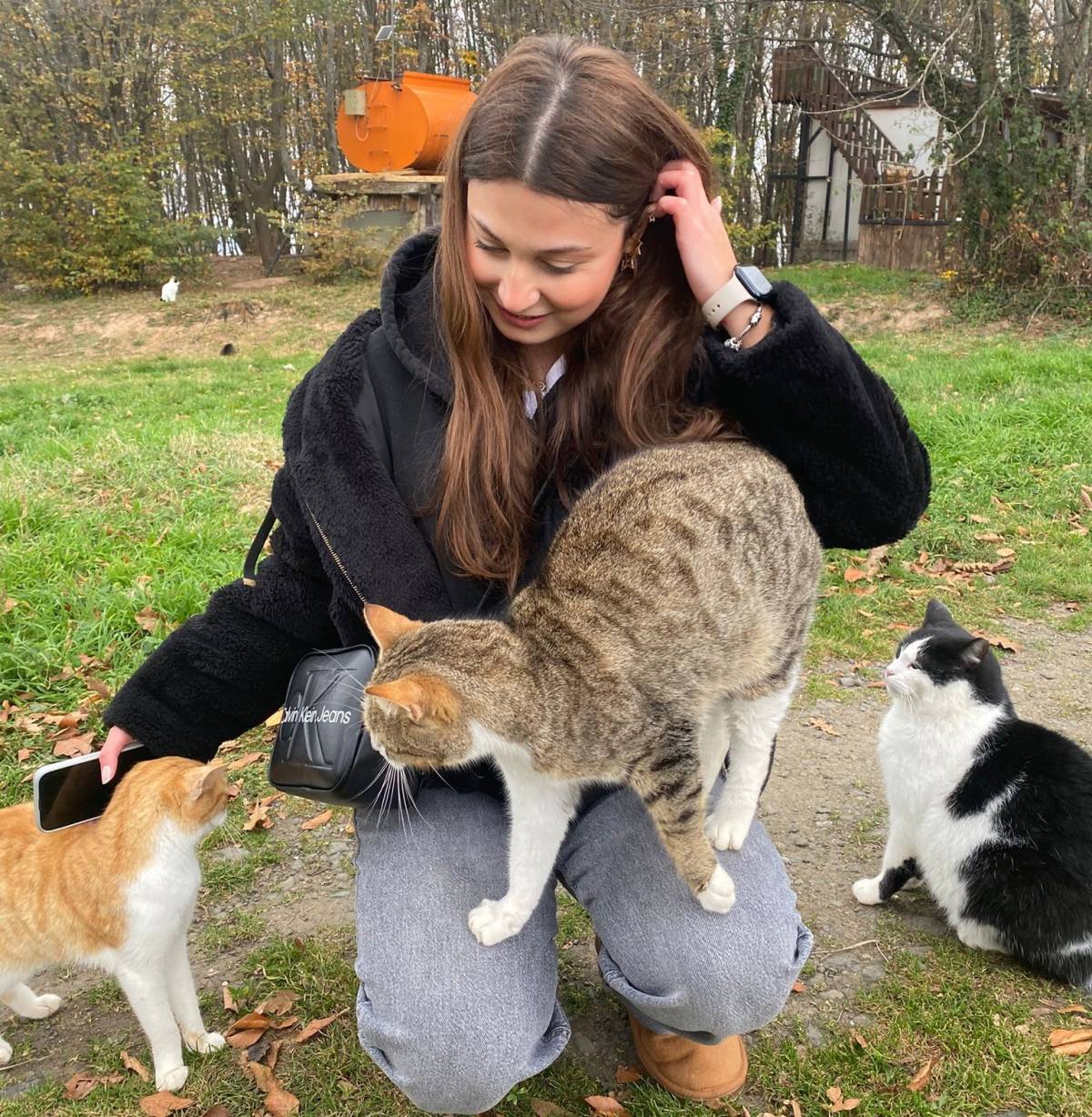 OMÜ'den sokak hayvanlarına mama desteği