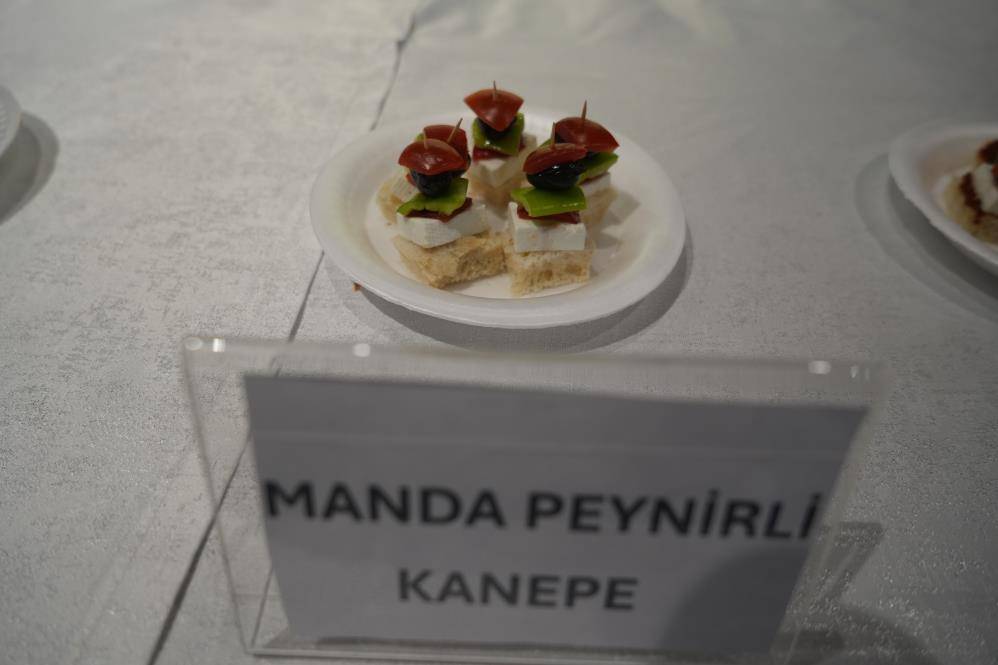 Samsun Kızılırmak Deltası'nda manda yetiştiriciliği markalaşıyor