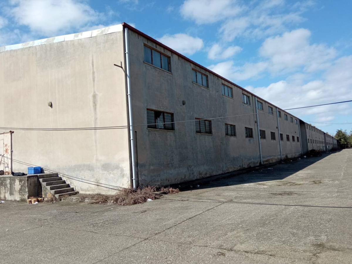 Samsun'da tütün hangarları geleceğin teknoloji üssüne dönüştü