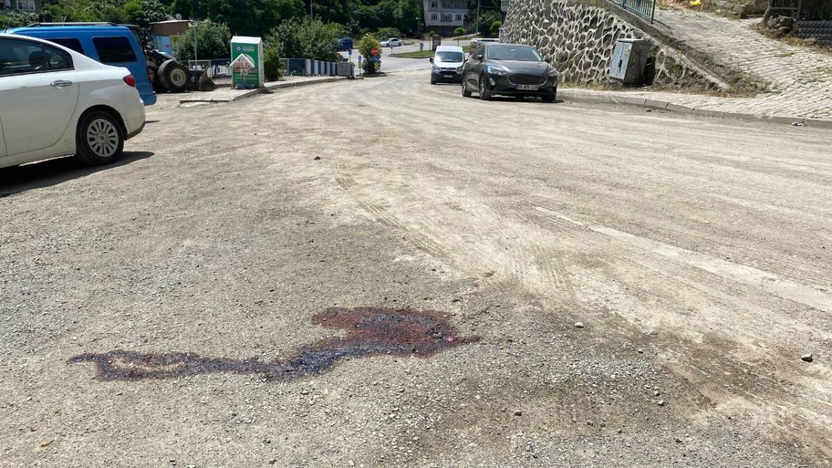 Samsun'dan Gürcistan'a kaçan katil zanlısı yakalandı