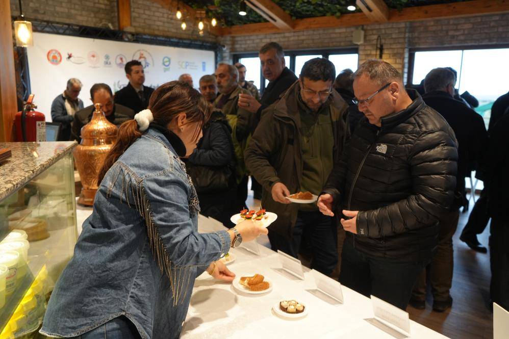 Samsun Kızılırmak Deltası'nda manda yetiştiriciliği markalaşıyor
