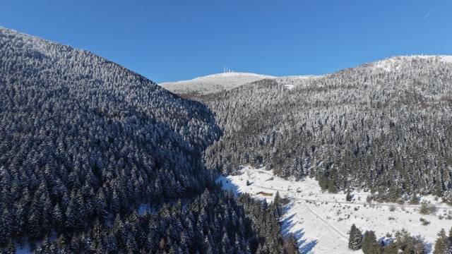 Samsun'da ormanlar kar altında