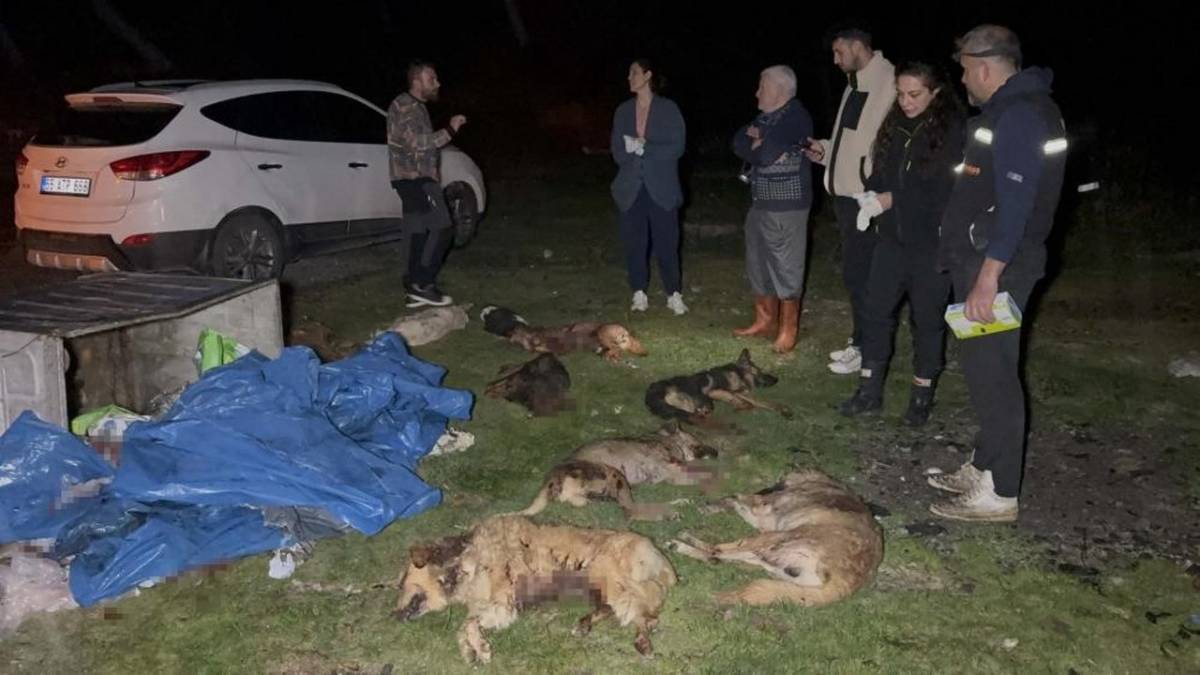 İlkadım Belediye Başkanı İhsan Kurnaz: CHP'lilerin maksatı hayvan sevgisi değil siyaset