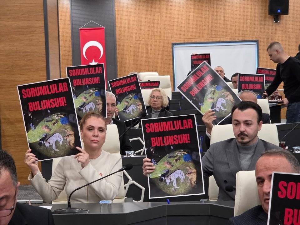 İlkadım Belediye Başkanı İhsan Kurnaz: CHP'lilerin maksatı hayvan sevgisi değil siyaset