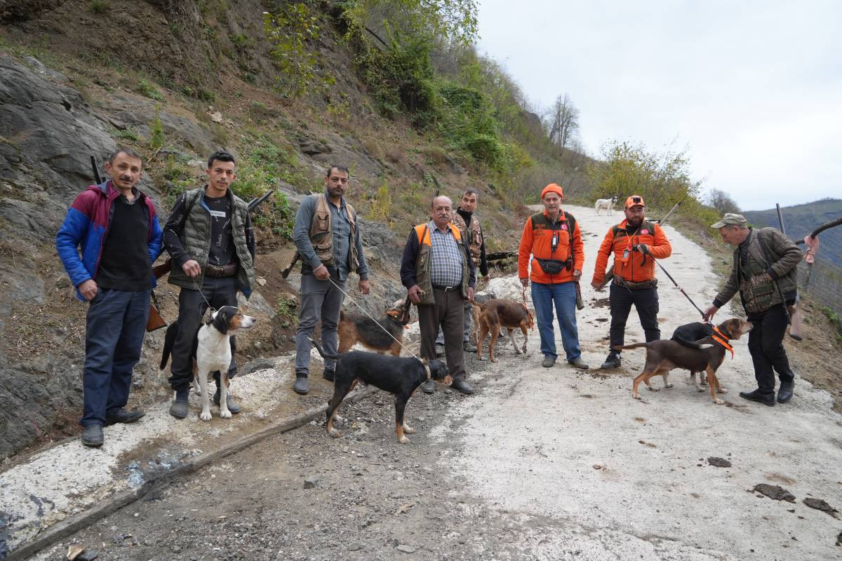 Samsun'da domuz alarmı! Avcılar 'takoz' zorunluluğunun kaldırılmasını istiyor