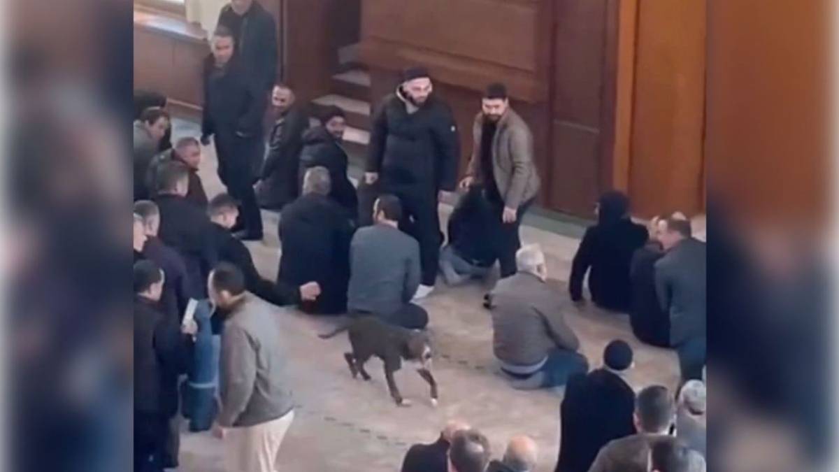 Camide pitbull paniği! Cemaatin arasına daldı