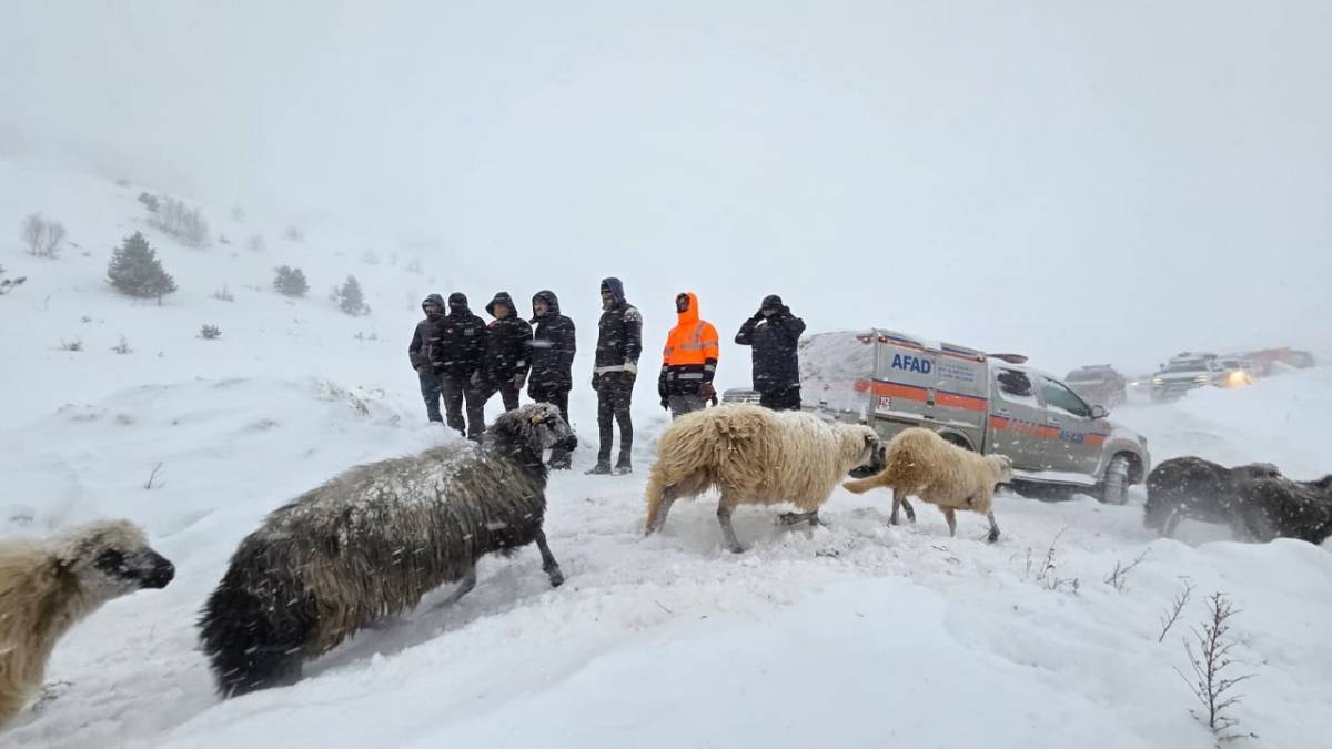 Çığ faciası! 3 çobandan birinin cansız bedenine ulaşıldı