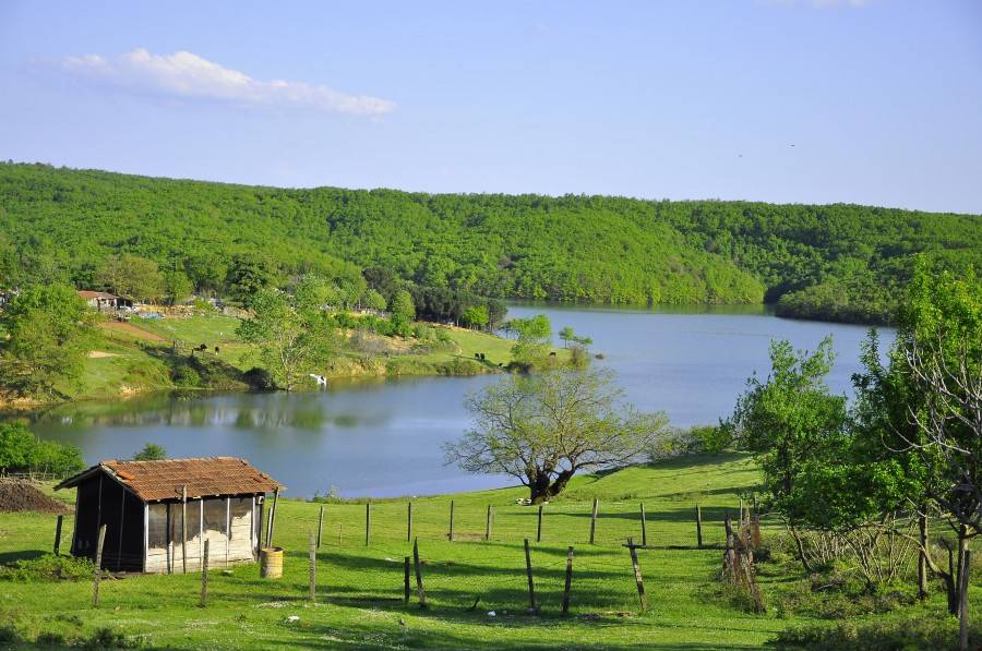 Samsun'un en büyük köyü belli oldu