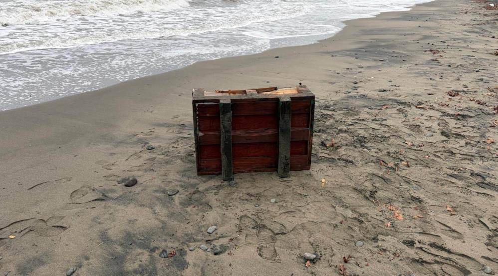 Samsun'da sahile öyle bir şey vurdu ki...  İncelemeye alındı