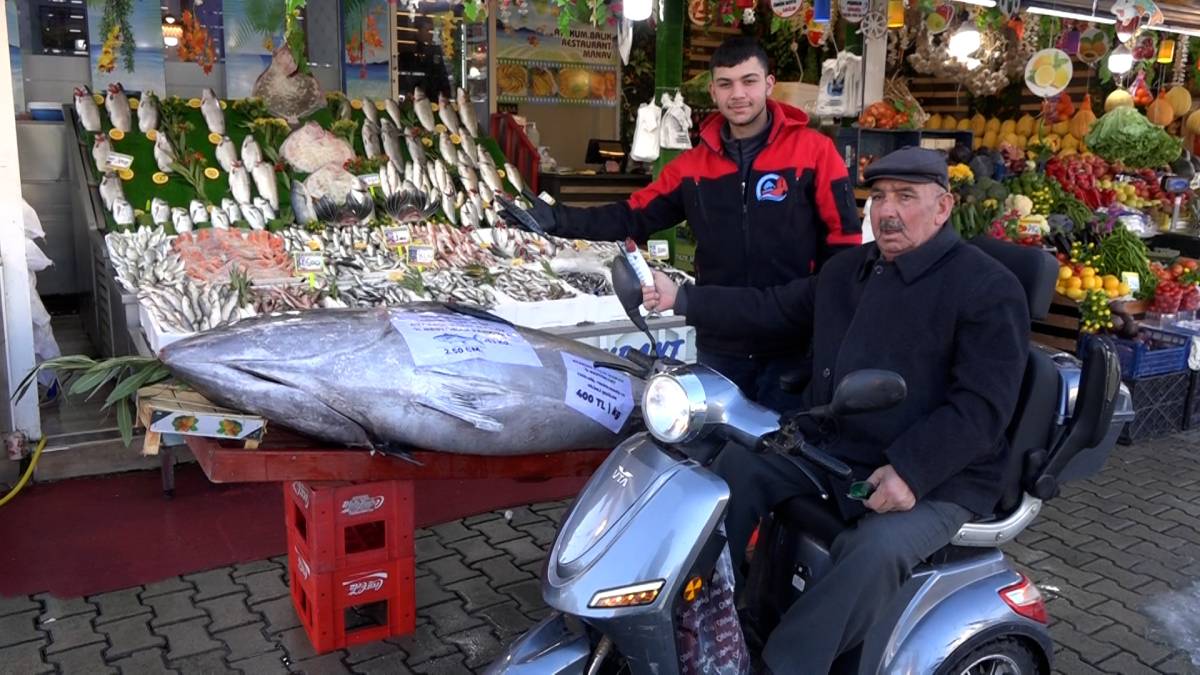 Samsun'da yine dev Orkinos ilgi gördü