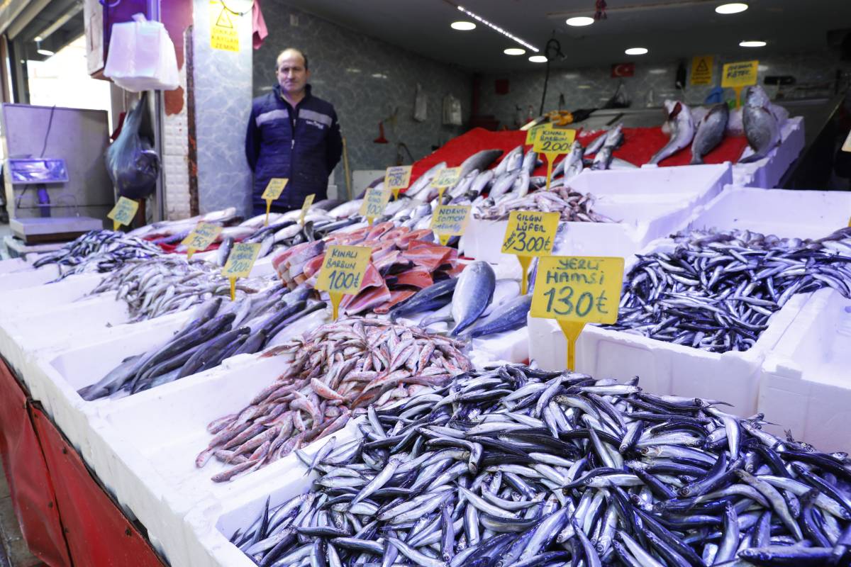 Samsun'da balık tezgahları şenlendi