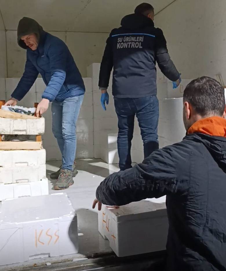 Samsun'da yasal boy sınırının altında 3 ton mezgit ele geçirildi