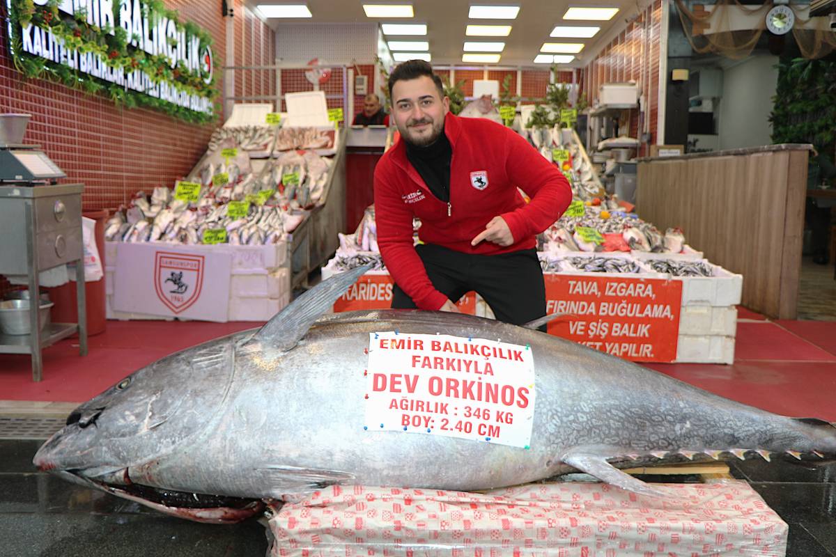 Samsun'da 346 kiloluk dev orkinos satışa çıkarıldı