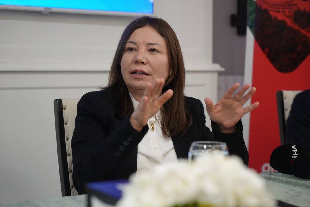 OMÜ'nün akademik yayın başarısı dikkat çekiyor