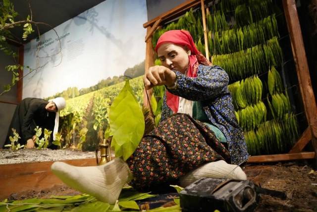 Samsun’daki müzeler rekor kırdı: Yarım milyondan fazla ziyaretçi