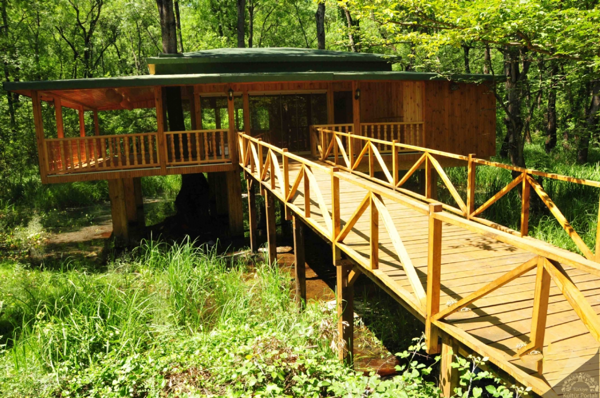 Samsun'un en güzel köyü belli oldu