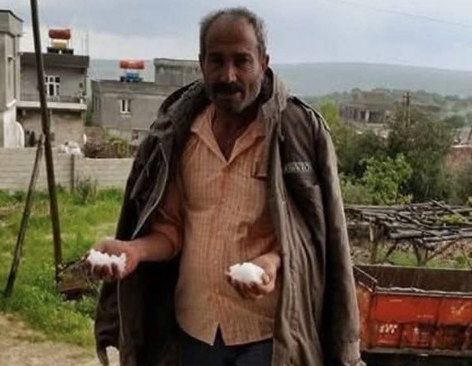 Feci ölüm! Yem karma makinesine düşerek can verdi