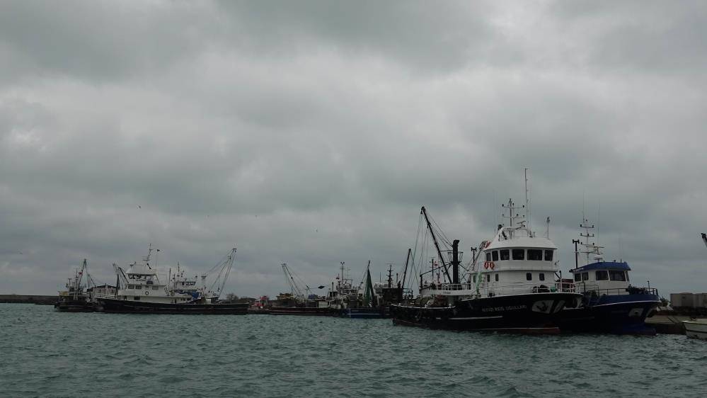 Samsun Su Ürünleri Kooperatifi Başkanı Atıf Malkoç: Hamsi Türkiye'ye dönmezse balıkçı zor durumda kalır