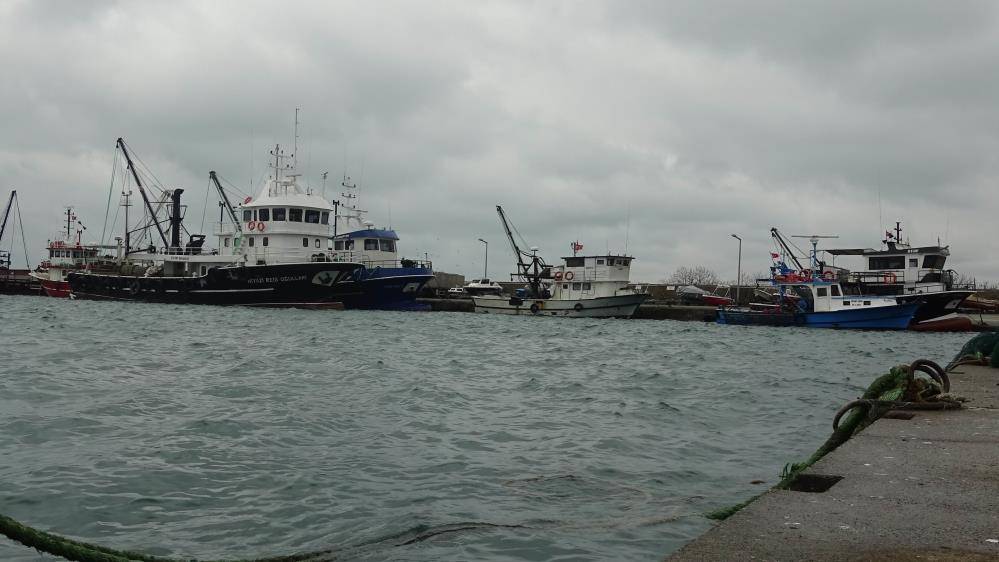 Samsun Su Ürünleri Kooperatifi Başkanı Atıf Malkoç: Hamsi Türkiye'ye dönmezse balıkçı zor durumda kalır