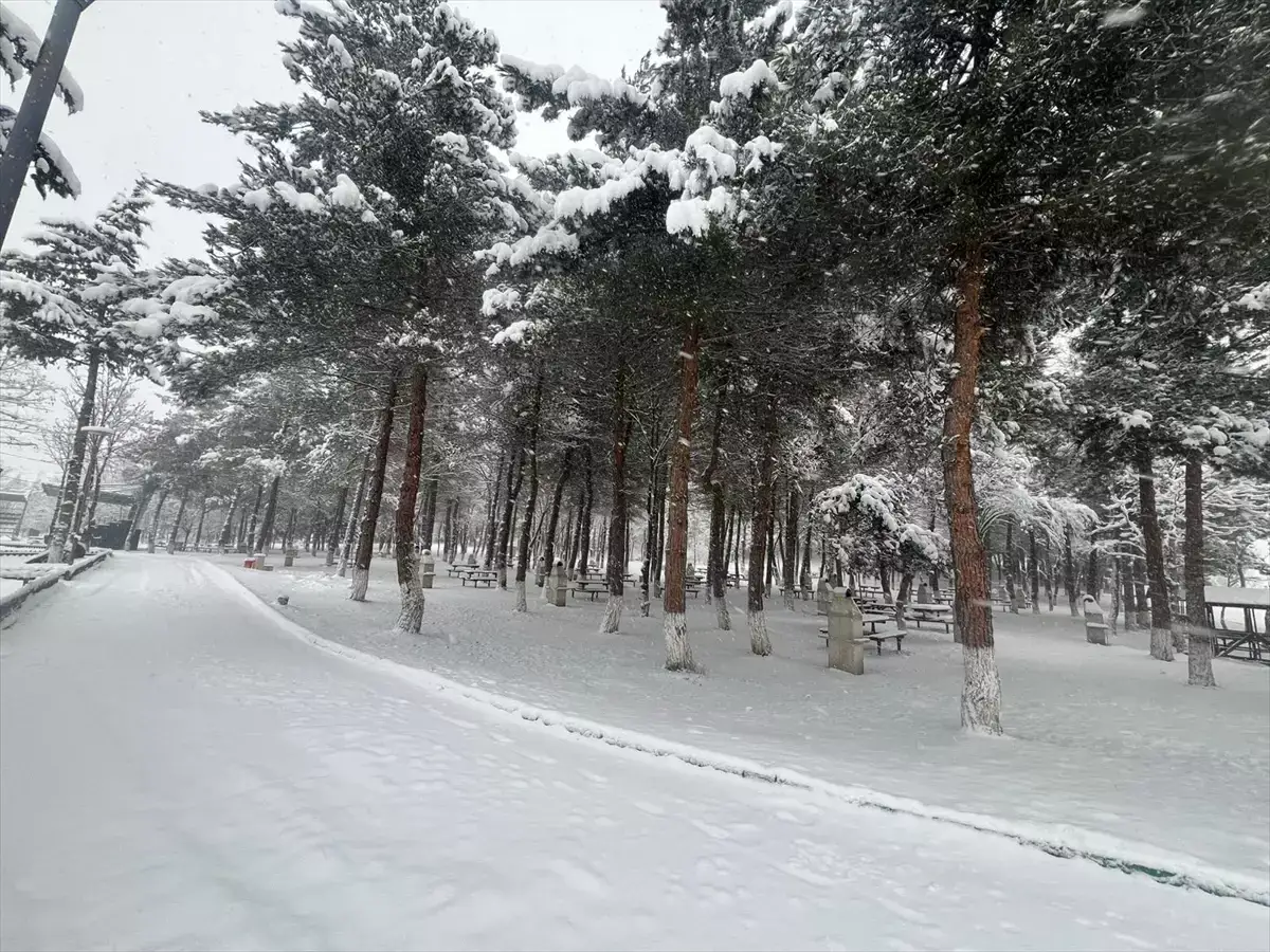 Samsun'da kar kalınlığı yüksek ilçeleri belli oldu