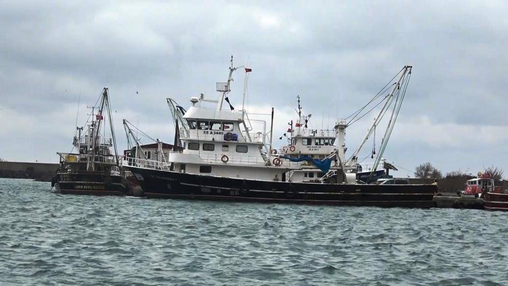 Samsun Su Ürünleri Kooperatifi Başkanı Atıf Malkoç: Lüfer bol ama ağlara girmiyor