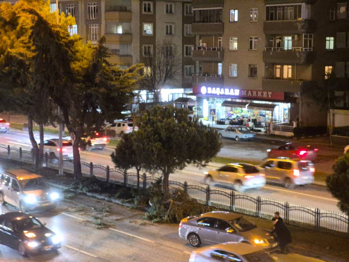 Samsun’da ağaç seyir halindeki otomobilin üzerine devrildi