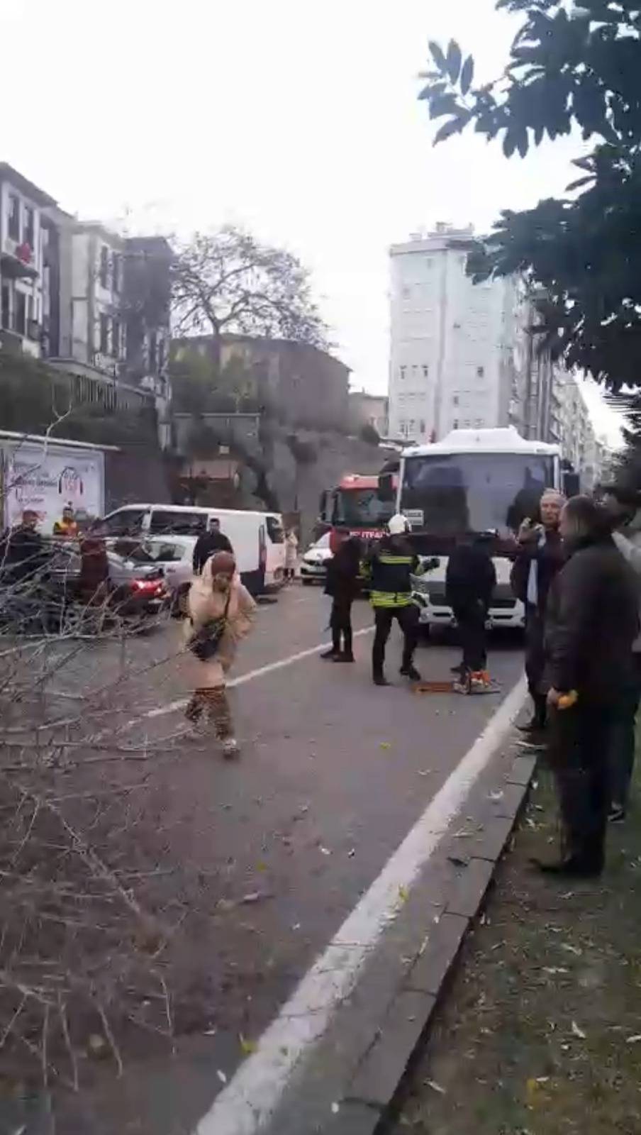 Samsun'da fırtına ağaçları devirdi