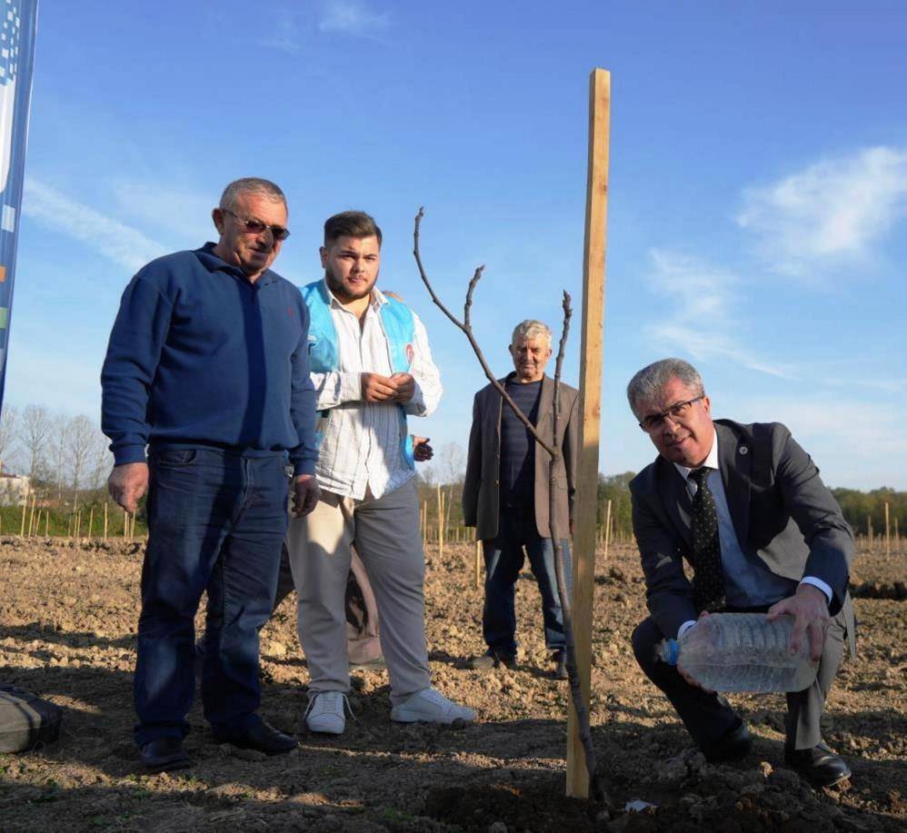 Samsun’da üretilen fidanlar Türkiye'ye nefes oldu