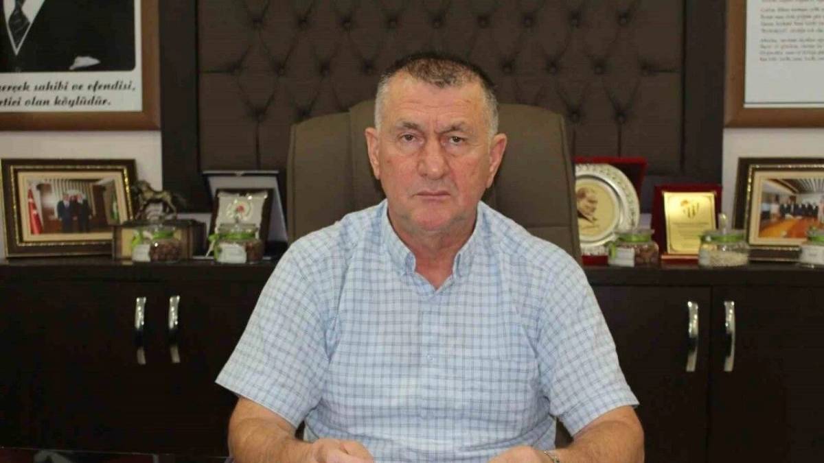 Samsunlu fındık ve kivi üreticilerine sigorta uyarısı