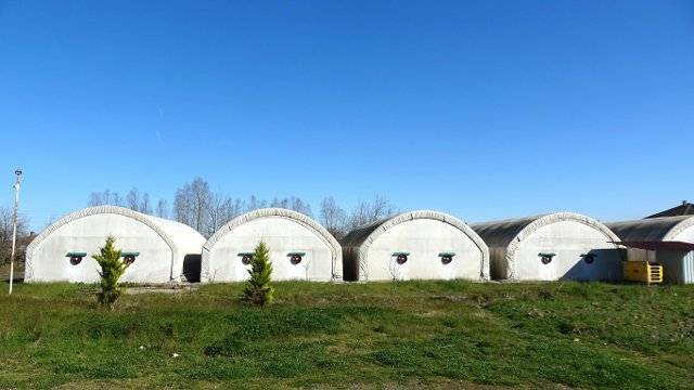 Samsun'da istiridye mantarı üretimi artıyor