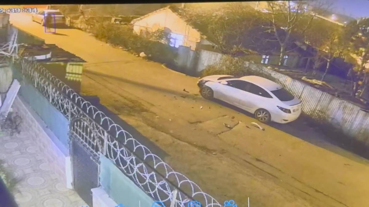 İstanbul'da at paniği! Başıboş at park halindeki araçlara çarptı