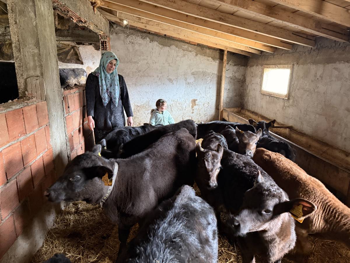 Samsun’da devlet desteğiyle sürüsünü büyüttü