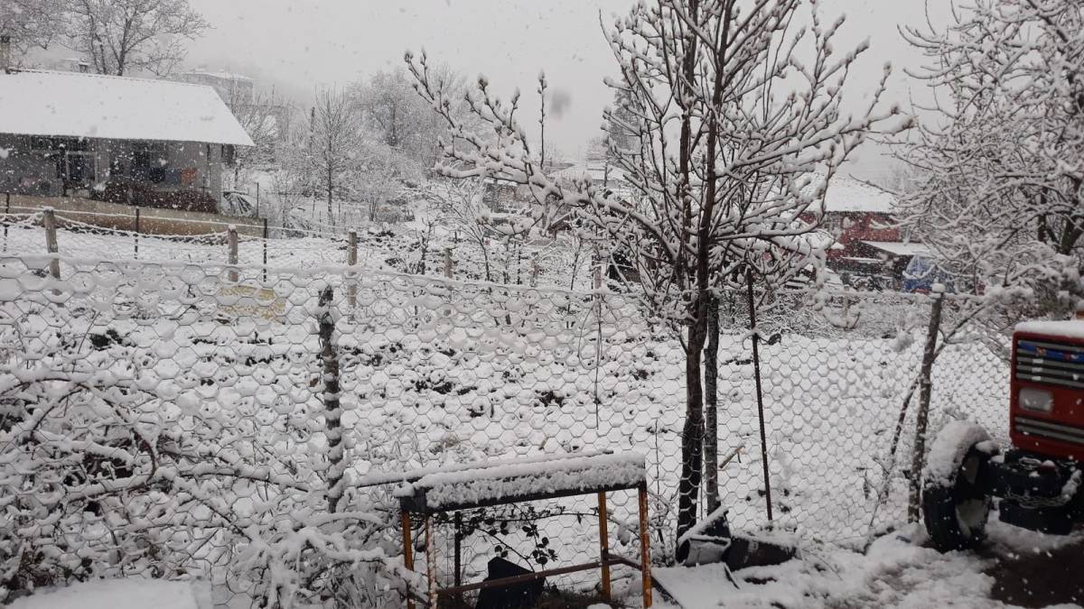 Nisan ayında kar sürprizi! Kavak beyaza büründü