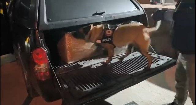 Samsun'da narkotik dedektör köpeği Şila 165 bin adet uyuşturucu hap buldu
