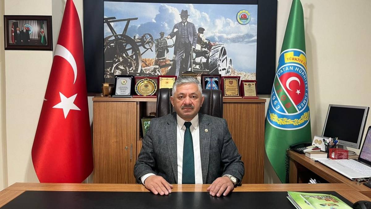 Fındık fiyatları düştü mü? Fındık fiyatları ne kadar?