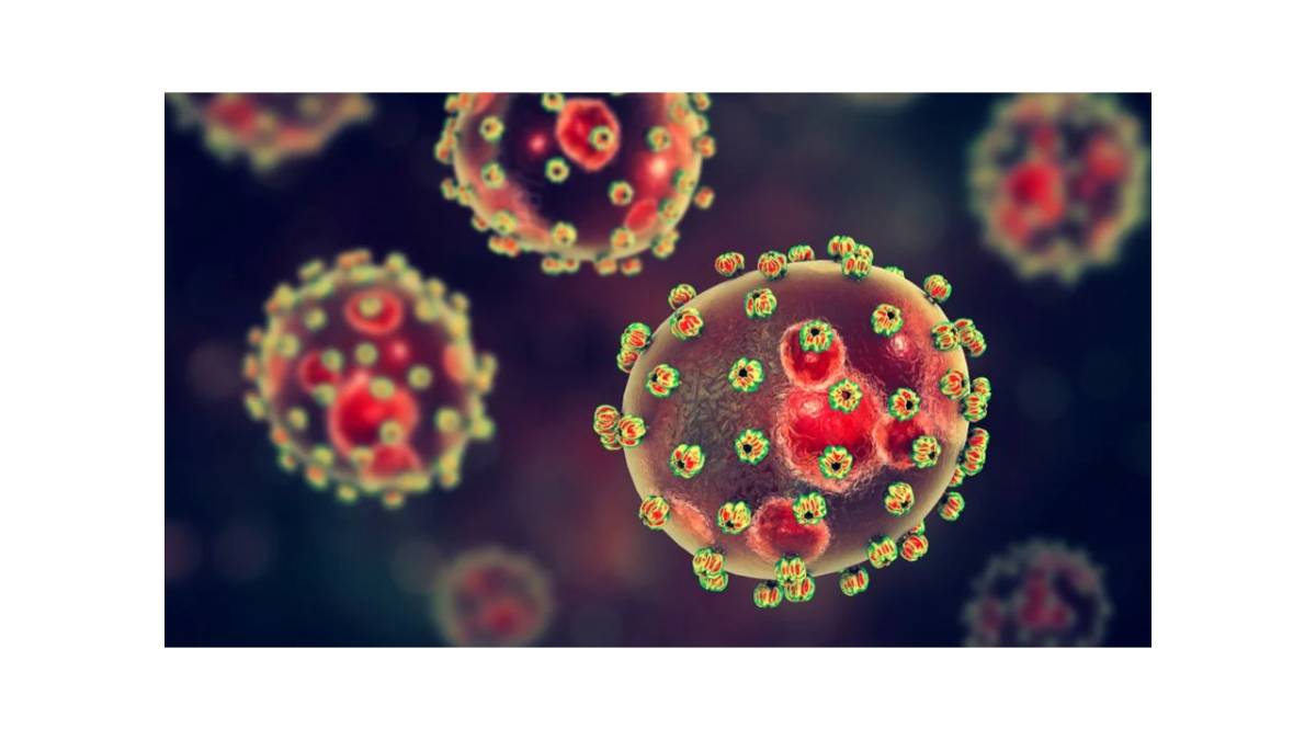 Lassa ateşi nedir? Lassa ateşi nasıl bulaşır?